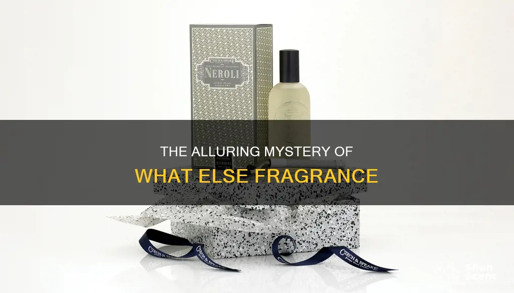 what else fragrance
