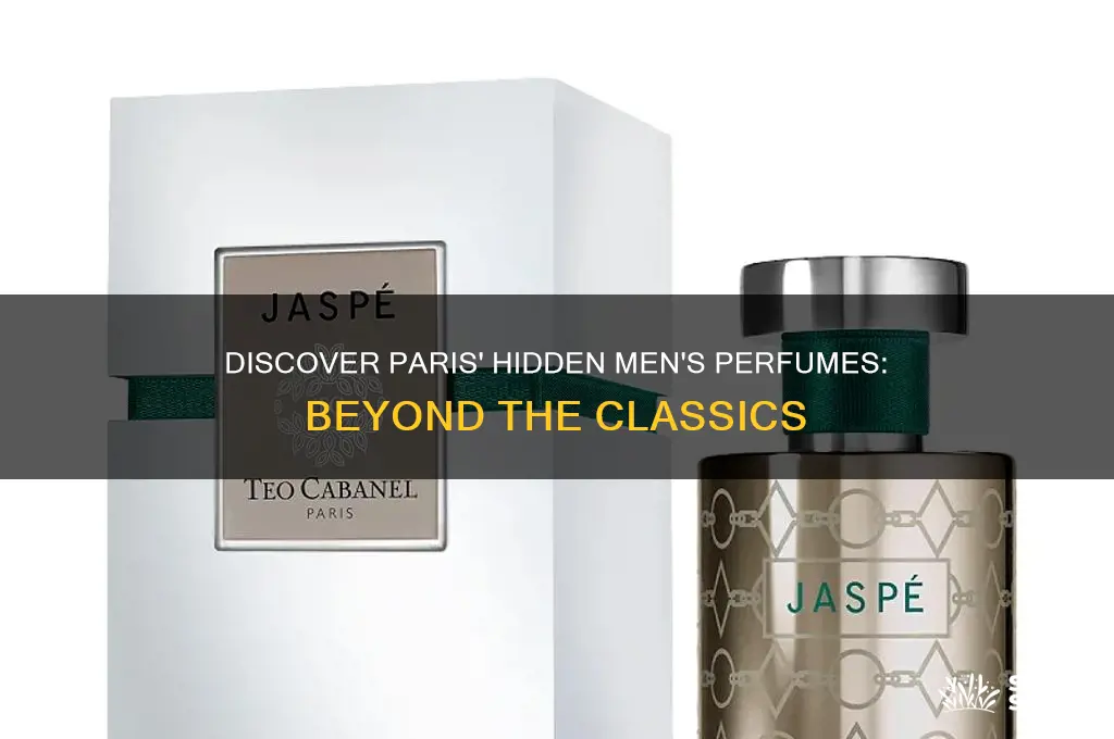 what else men paris perfume