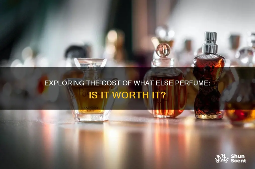 what else perfume price