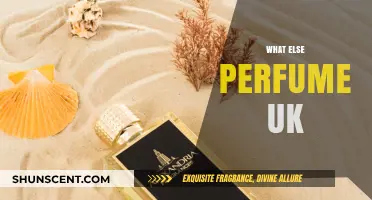 Discover the Best UK Alternatives to What Else Perfume Today