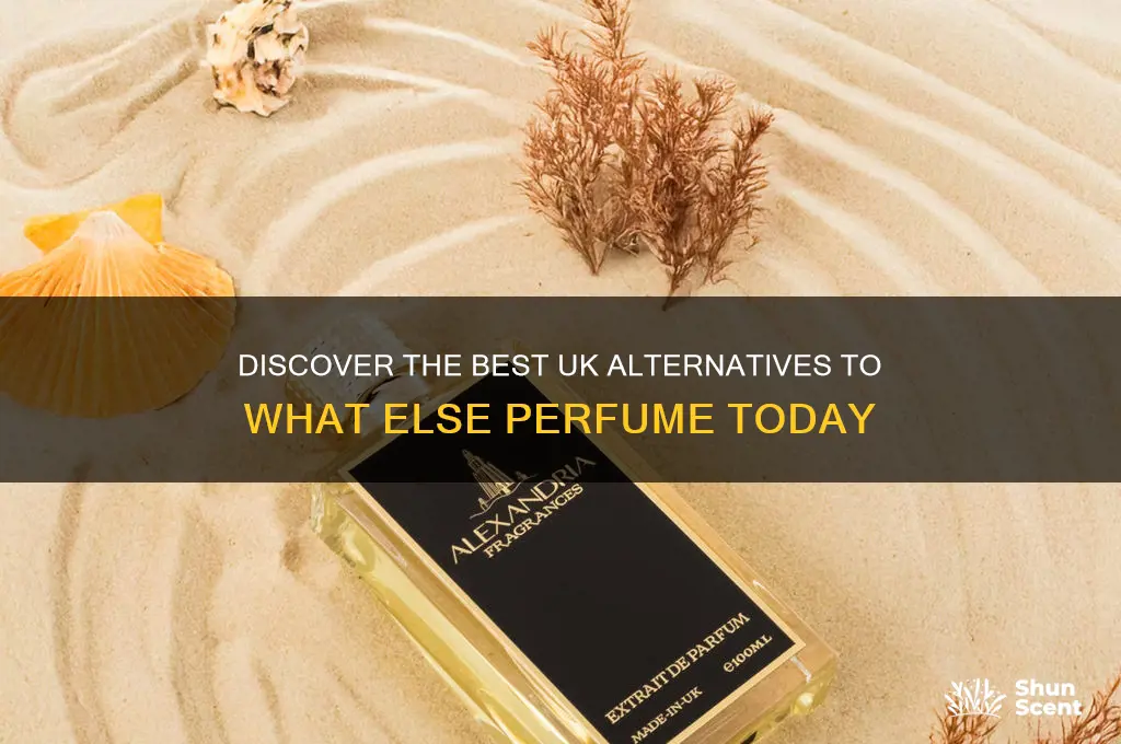 what else perfume uk