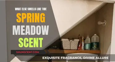 Exploring Scents: What Else Smells Like Tide Spring Meadow?