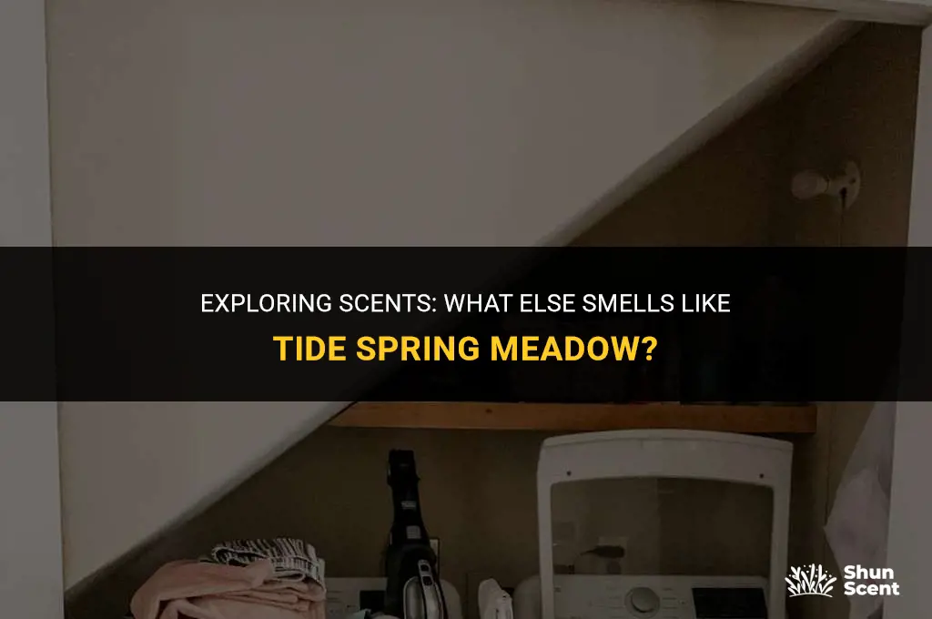 what else smells like tide spring meadow scent