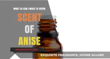 Exploring Essential Oils: Capturing the Essence of Anise