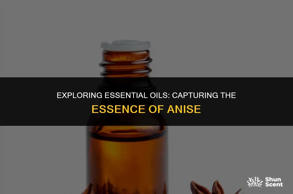 what eo can i miss to cover scent of anise