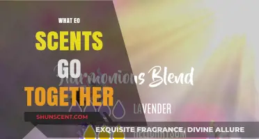 Harmonious Blends: Exploring Essential Oil Scents That Complement Each Other