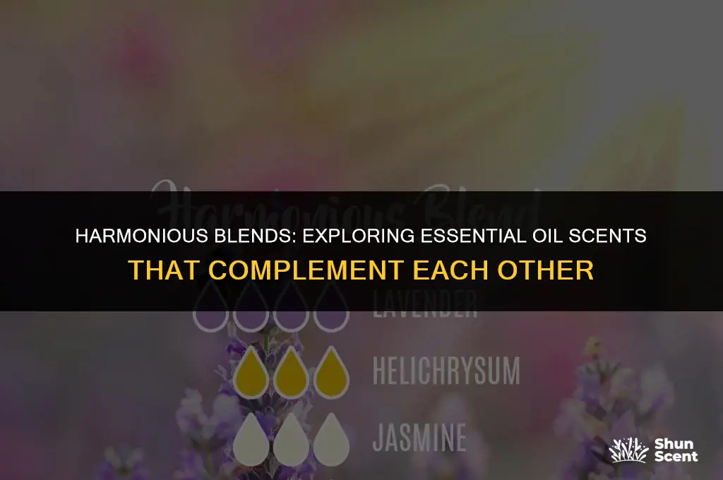 what eo scents go together