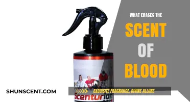 Unveiling Nature's Secrets: How to Neutralize the Scent of Blood
