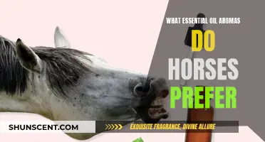 Horse-Preferred Aromas: Essential Oil Scents for Horses