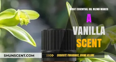 Crafting the Perfect Vanilla Scent: A Guide to Essential Oil Blends