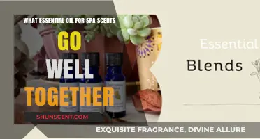 Blending Bliss: Essential Oil Pairings for a Serene Spa Experience