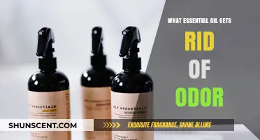 Banish Unpleasant Smells: The Ultimate Guide to Odor-Fighting Essential Oils