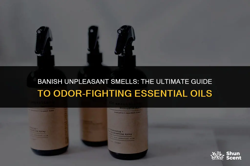 what essential oil gets rid of odor