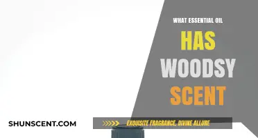 Unveiling Nature's Perfume: Essential Oils with a Woodsy Scent