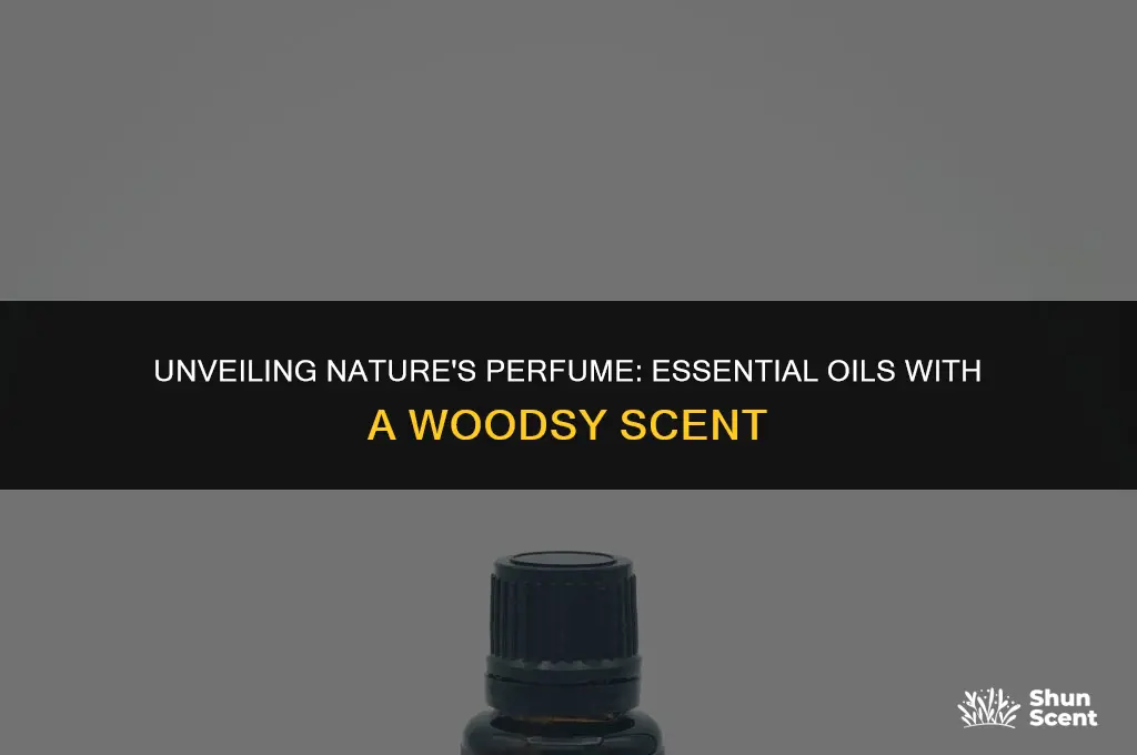 what essential oil has woodsy scent