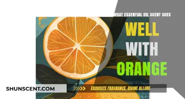 Citrus Harmony: Essential Oils That Perfectly Complement Orange