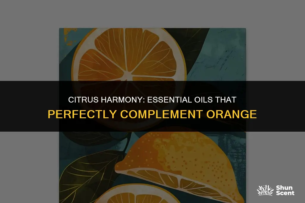 what essential oil scent goes well with orange