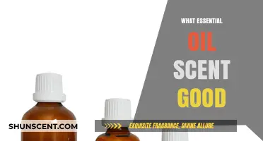 Discover the Invigorating Scents: Top Essential Oils for a Refreshing Atmosphere