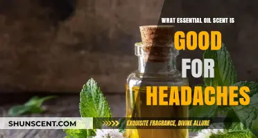 Natural Relief: Essential Oils to Ease Headache Symptoms