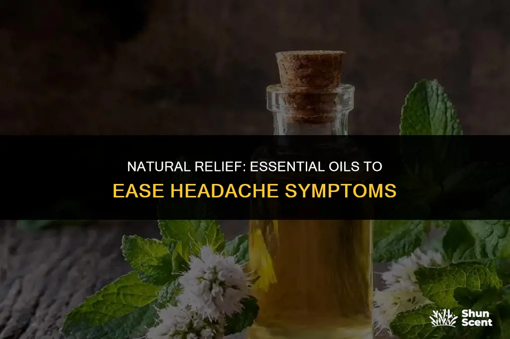 what essential oil scent is good for headaches