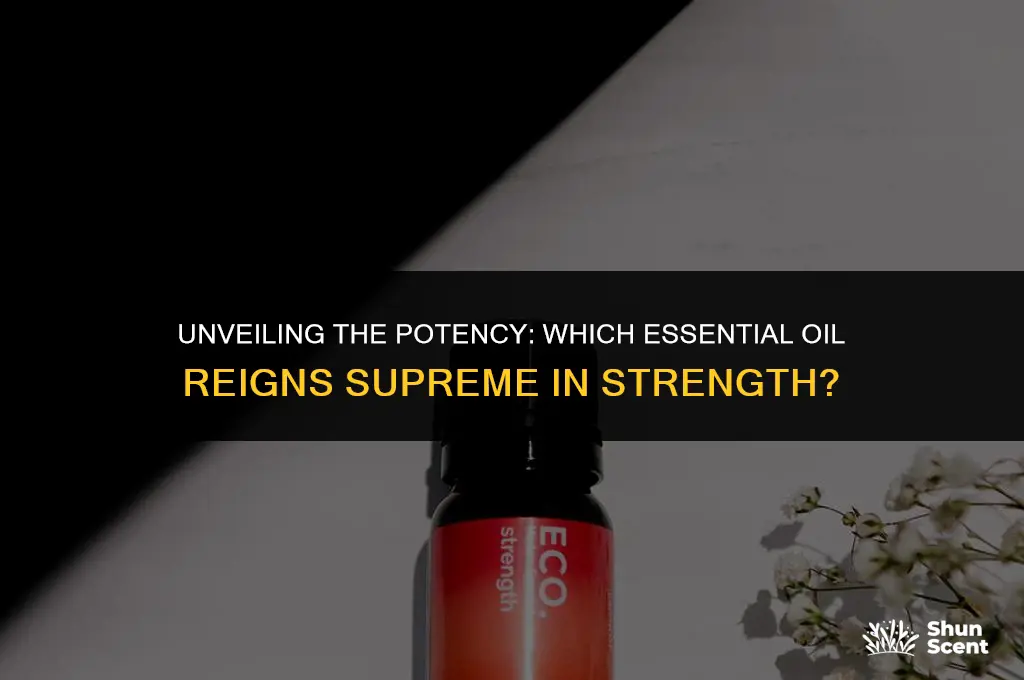what essential oil scent is the strongest