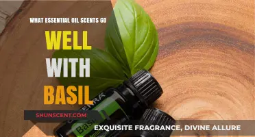 Fragrant Fusion: Essential Oils That Perfectly Complement Basil's Aroma