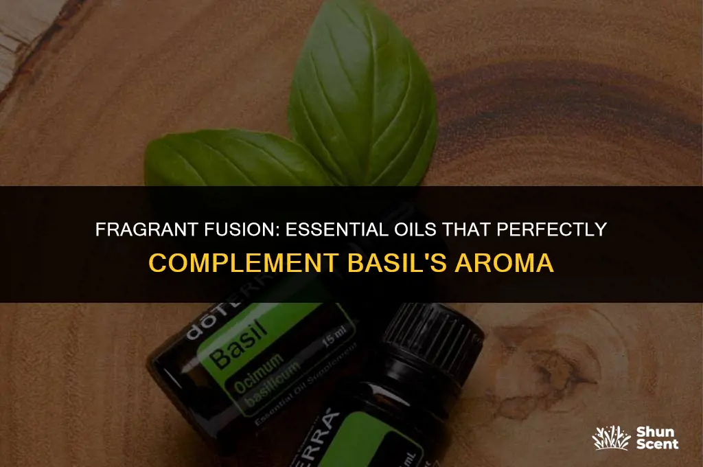 what essential oil scents go well with basil