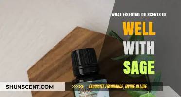 Harmonious Blends: Essential Oils That Perfectly Complement Sage