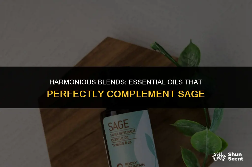 what essential oil scents go well with sage