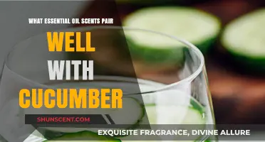 Revitalizing Blends: Essential Oils That Perfectly Complement Cucumber