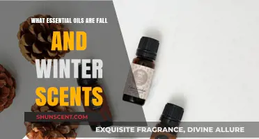 Embrace the Season: Essential Oils for Fall and Winter Aromatherapy