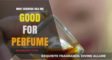 Discover the Best Essential Oils for Crafting Luxurious Perfumes