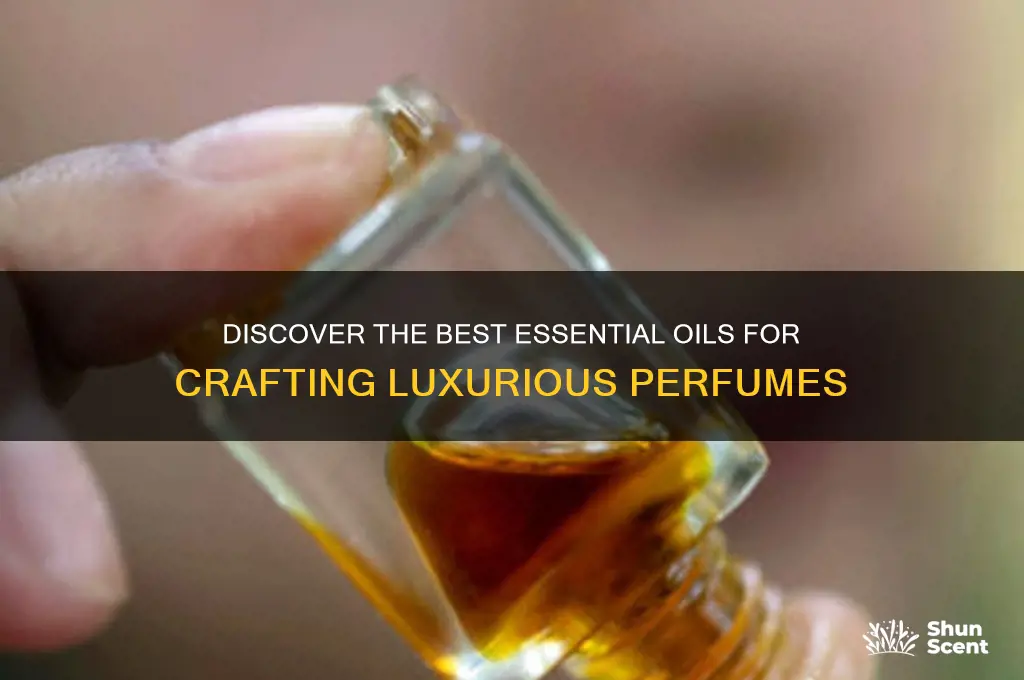 what essential oils are good for perfume