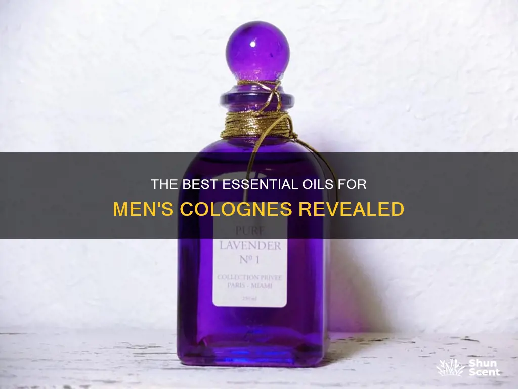 what essential oils for men cologn