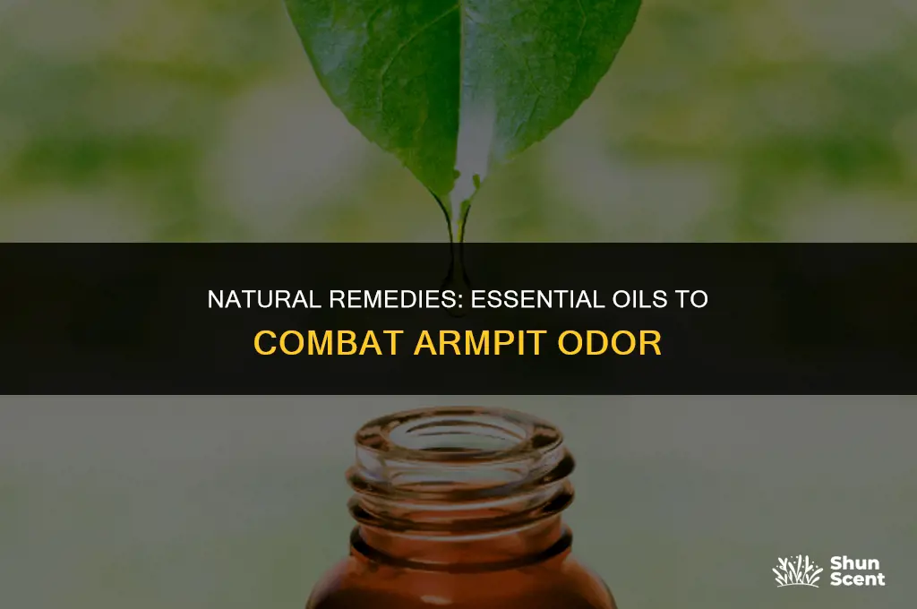 what essential oils get rid of armpit odor