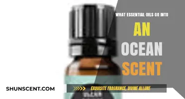 Crafting the Perfect Ocean Breeze: Essential Oils for a Seaside Scent