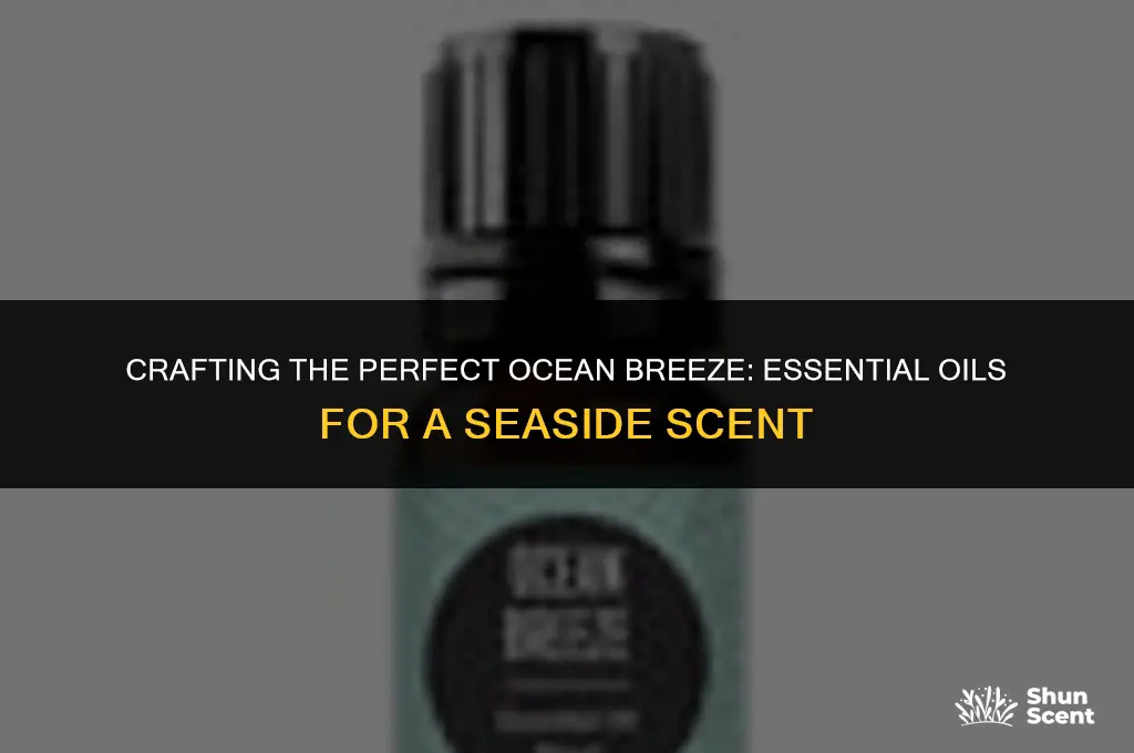 what essential oils go into an ocean scent