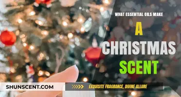 Festive Aromas: Essential Oils to Create a Christmas Scent
