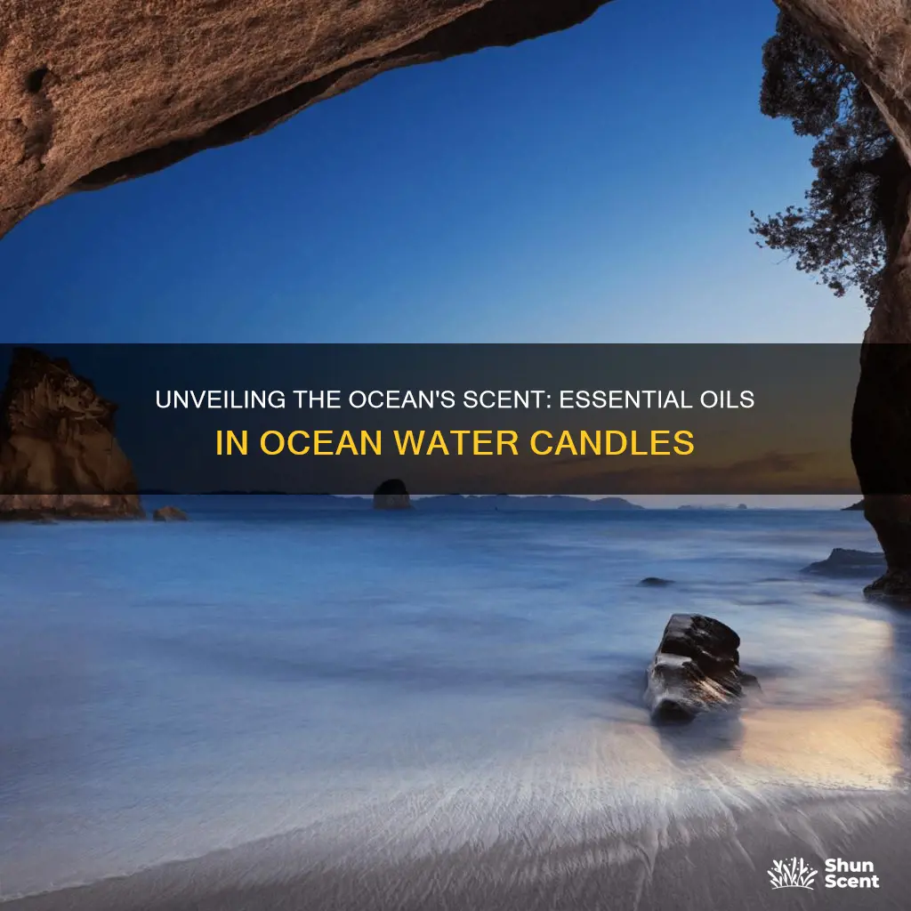 what essential oils make the fragrance for ocean water candle