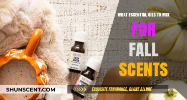 Autumn Aromas: Essential Oil Blends for a Cozy Fall Atmosphere