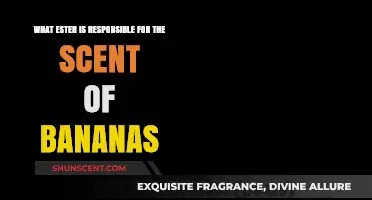 Unveiling the Secret Scent: The Ester Behind Banana's Alluring Aroma