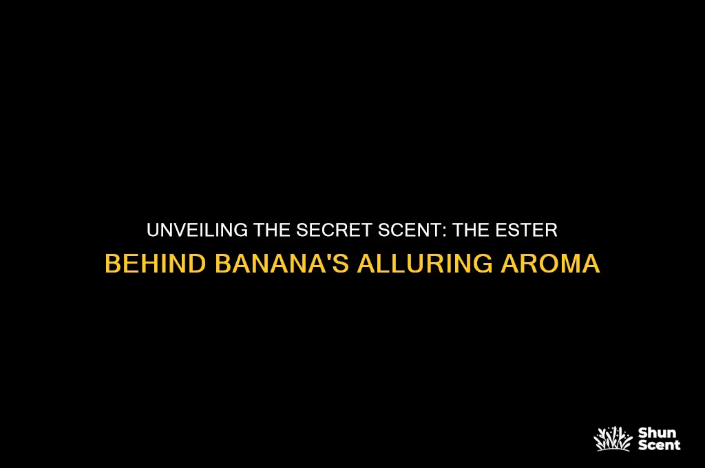 what ester is responsible for the scent of bananas