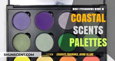 Coastal Scents Palettes: Eyeshadow Shades That Work Best