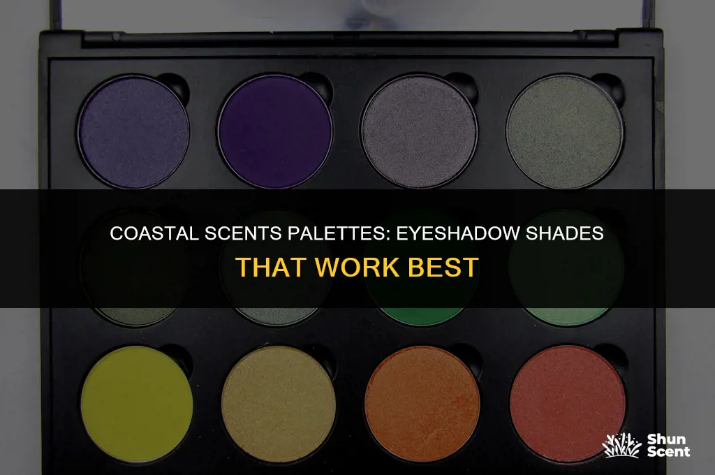 what eyeshadows work in coastal scents palettes