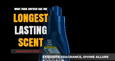 Discover the Fabric Softener with the Longest-Lasting Freshness