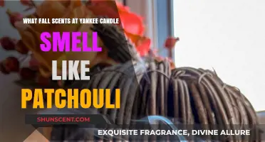 Autumn Aromas: Yankee Candle's Patchouli-Inspired Fall Scents