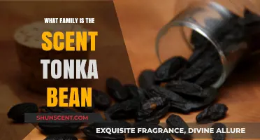 Exploring the Fragrant Family: Tonka Bean's Aromatic Lineage Unveiled