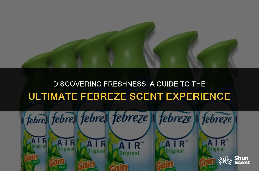 what febreze scent is the best