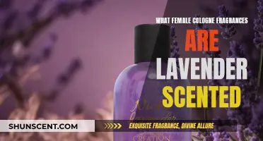 Discover Lavender-Scented Female Colognes for a Relaxing Fragrance