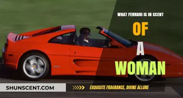Which Ferrari Stars in 'Scent of a Woman'?